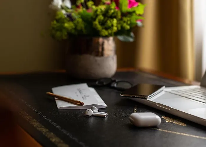 酒店 路易莎故居酒店